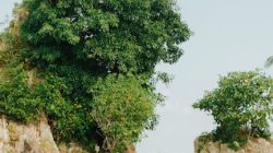 Temukan Tempat Wisata Hidden Gems di Banten yang Memukau!